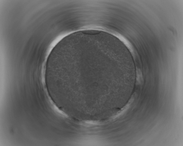 X0000114521102200911091146