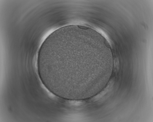 X0000114521103200911091145