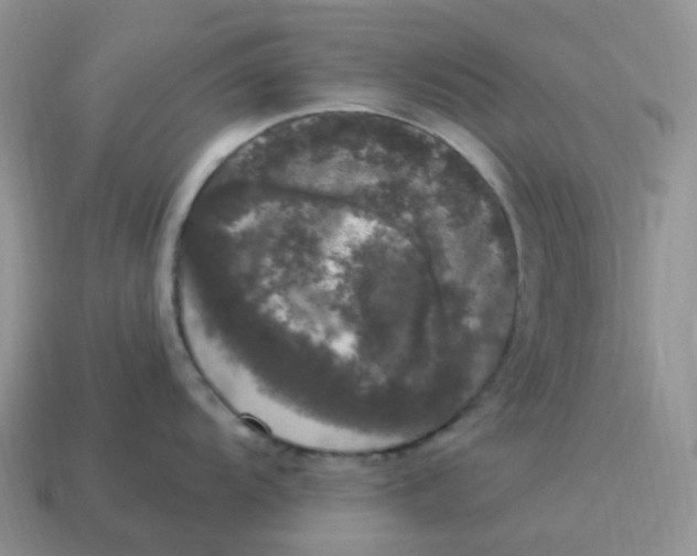 X0000114521104200911091145