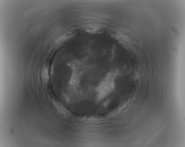 X0000114521106200911091145