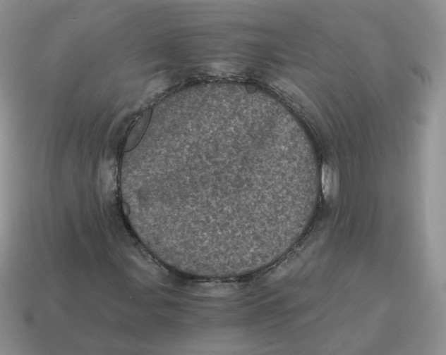 X0000114521107200911091145