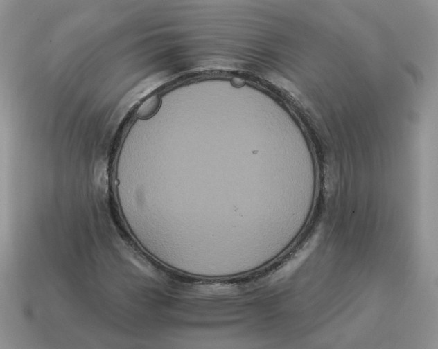 X0000114521113200911091145