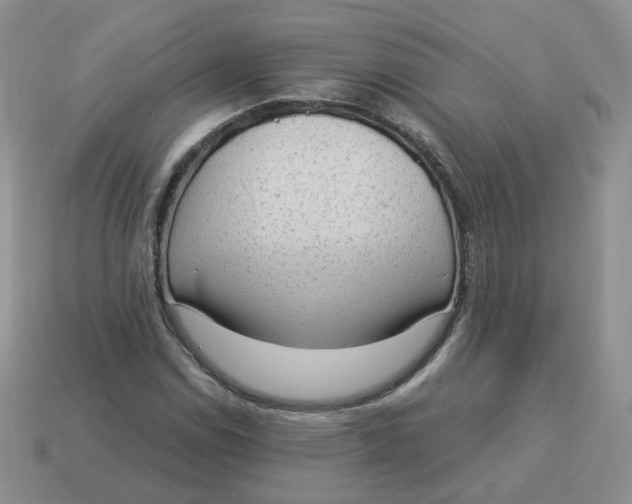 X0000114521114200911091145