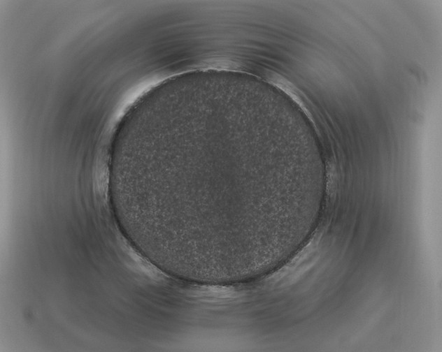 X0000114521115200911091145