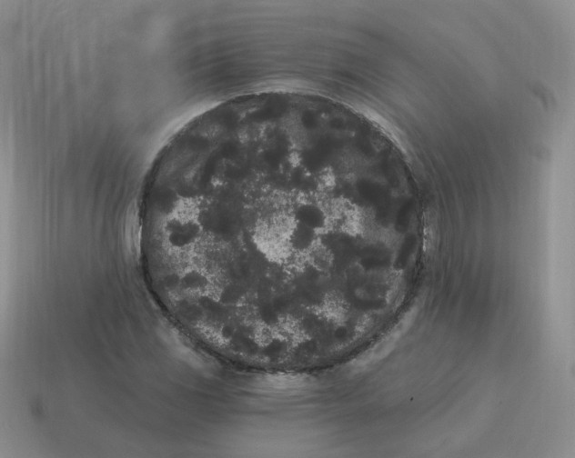 X0000114521117200911091145