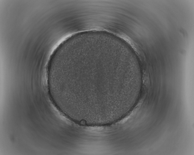 X0000114521118200911091145