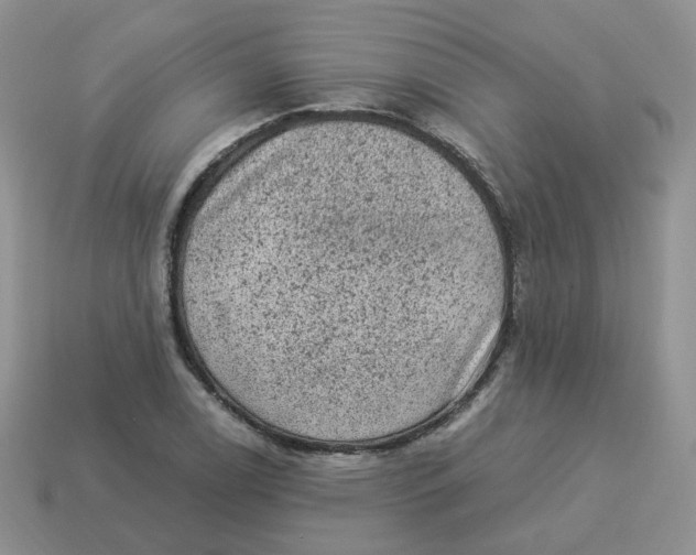 X0000114521122200911091145