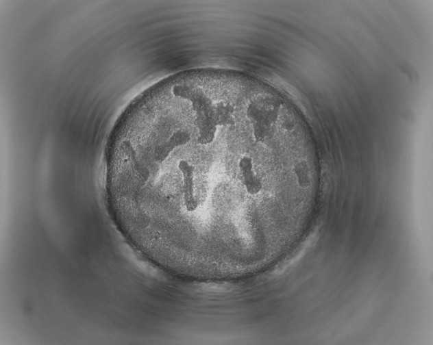 X0000114521125200911091145