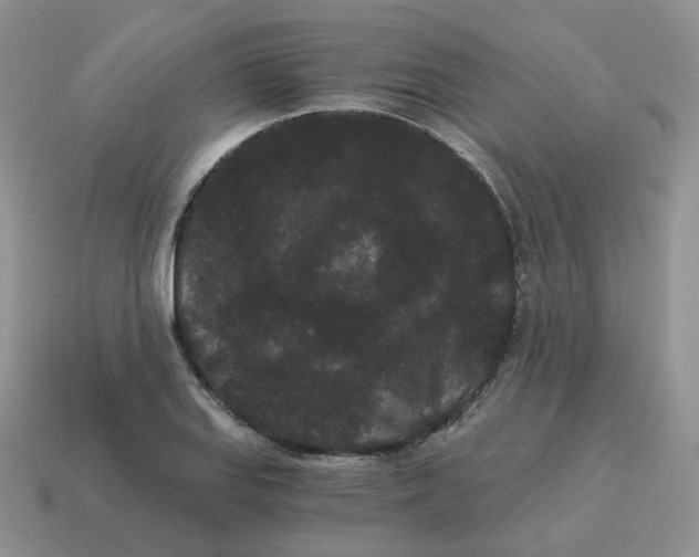 X0000114521127200911091145