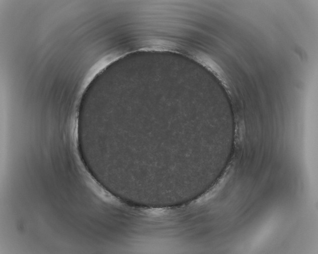 X0000114521130200911091145