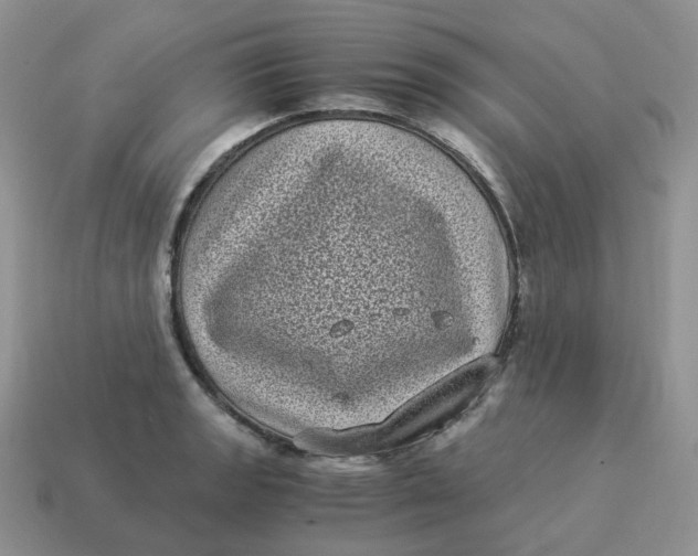 X0000114521133200911091145