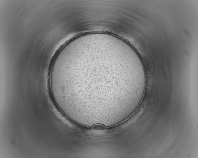 X0000114521134200911091145