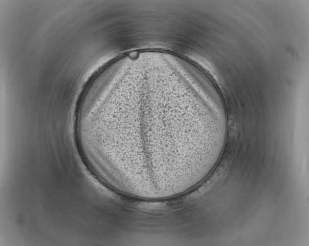 X0000114521135200911091145