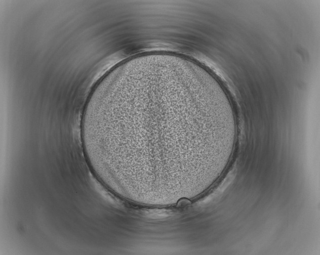 X0000114521137200911091145