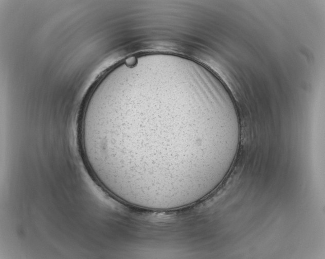 X0000114521139200911091145