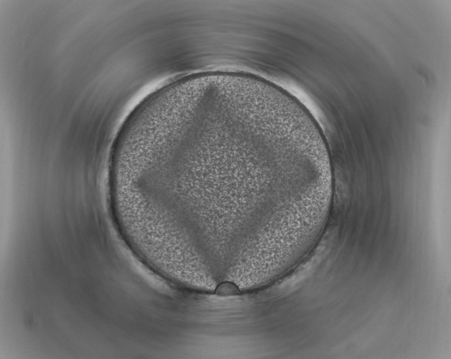 X0000114521142200911091145