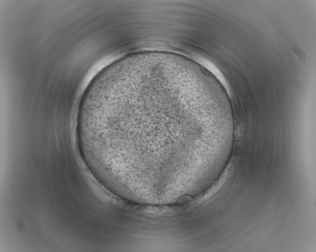 X0000114521146200911091145