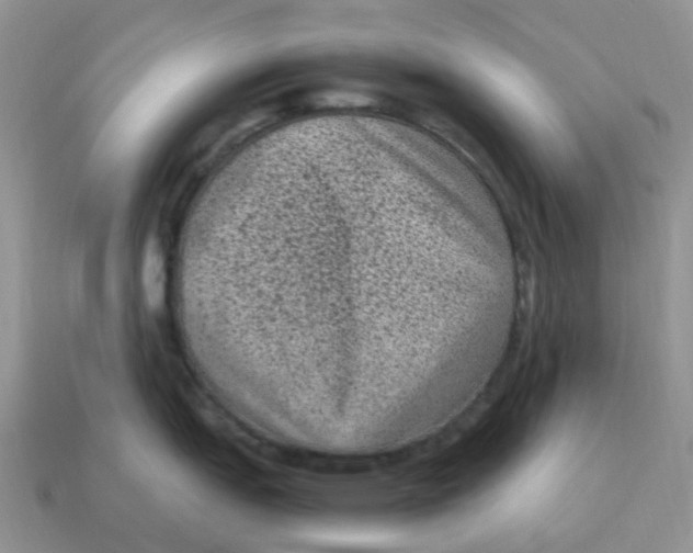 X0000114521151200911091145