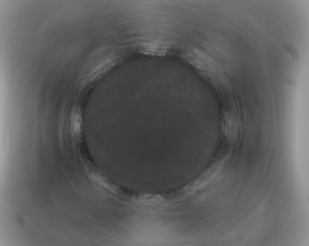 X0000114521154200911091145