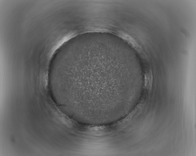 X0000114521165200911091145