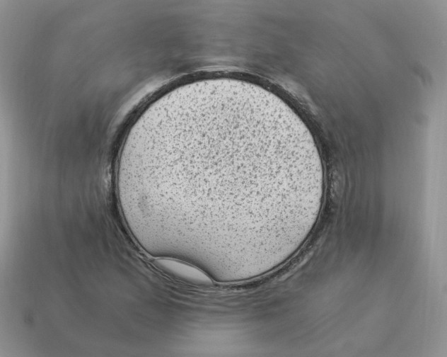 X0000114521167200911091145