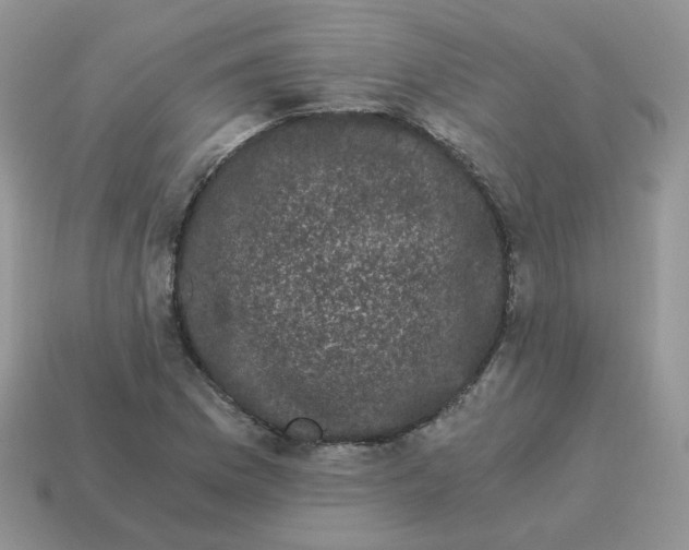 X0000114521169200911091144