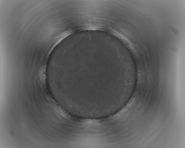 X0000114521170200911091144