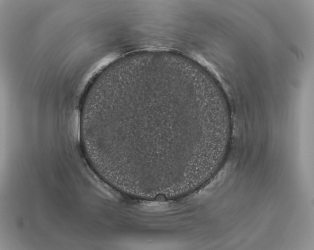 X0000114521171200911091144