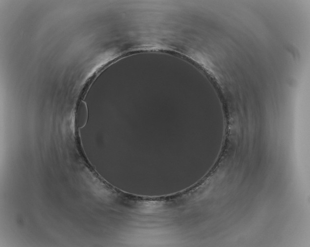 X0000114521173200911091144