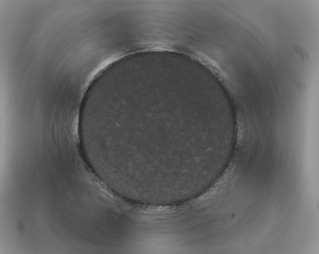 X0000114521174200911091144