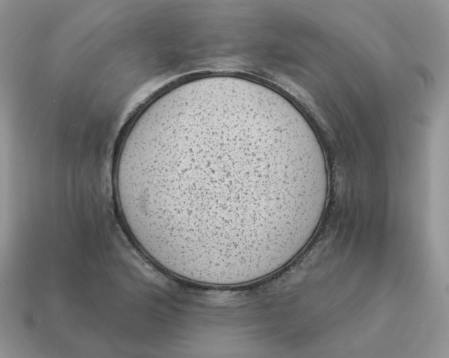 X0000114521176200911091144