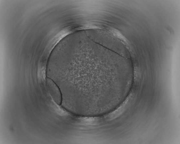 X0000114521177200911091144