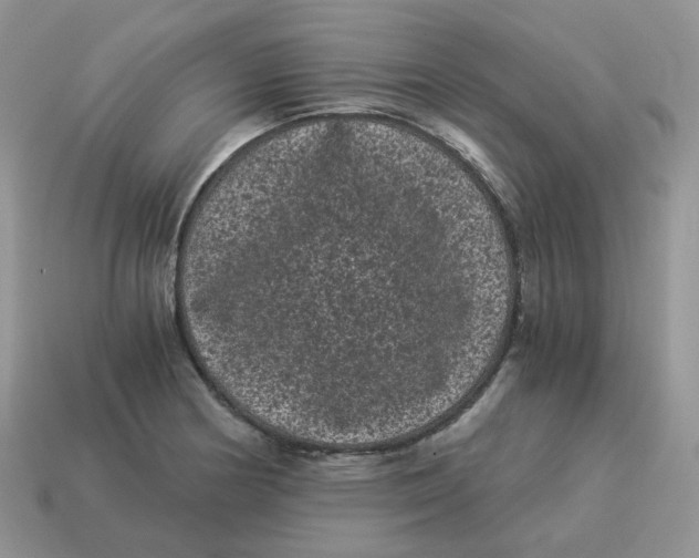 X0000114521178200911091144