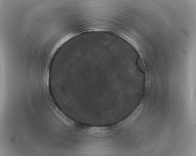 X0000114521179200911091144