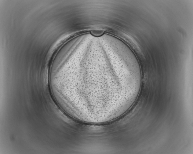 X0000114521180200911091144