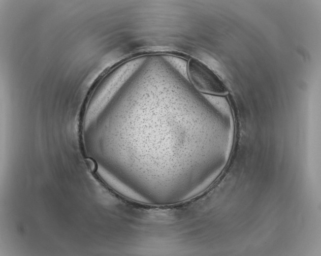 X0000114521181200911091144