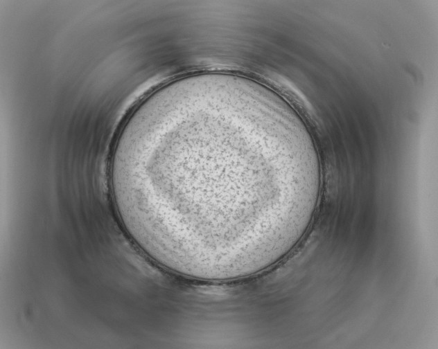 X0000114521182200911091144