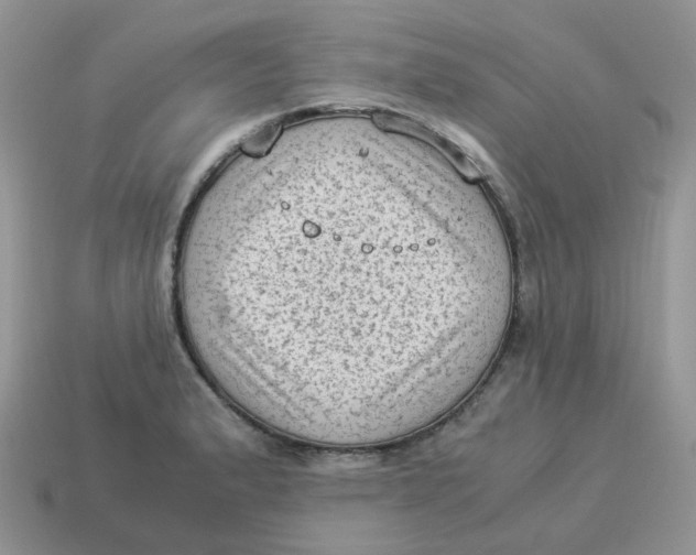 X0000114521183200911091144