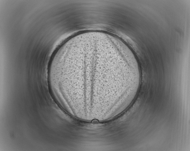 X0000114521184200911091144