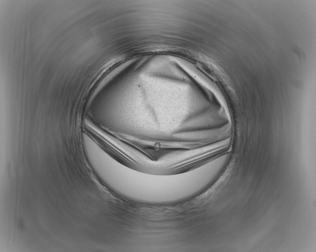 X0000114521185200911091144