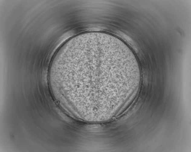 X0000114521186200911091144