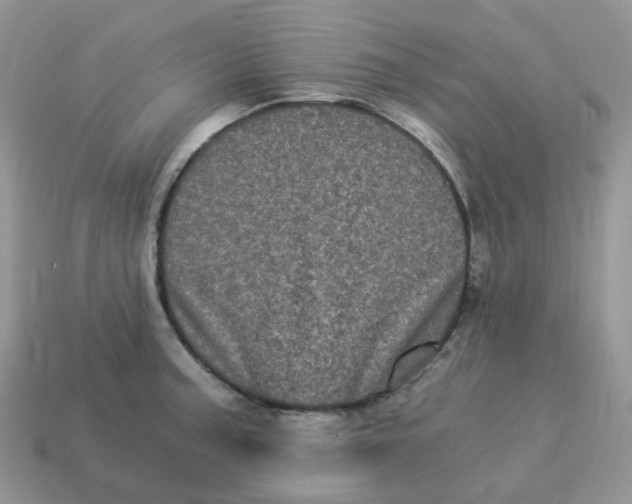 X0000114521187200911091144