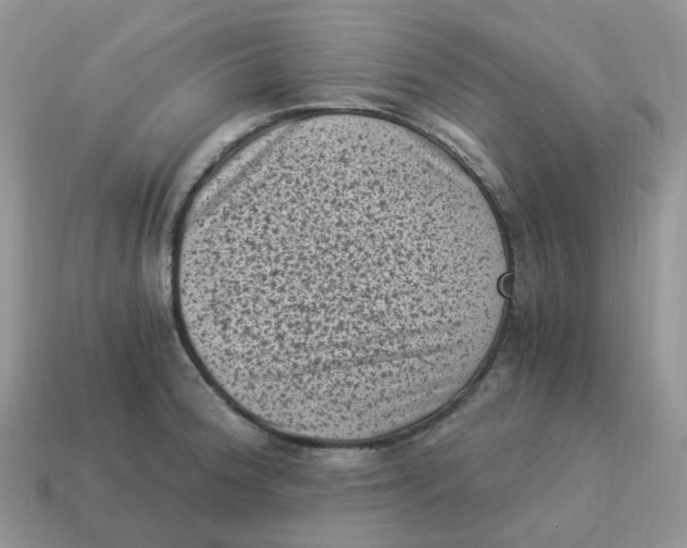 X0000114521188200911091144