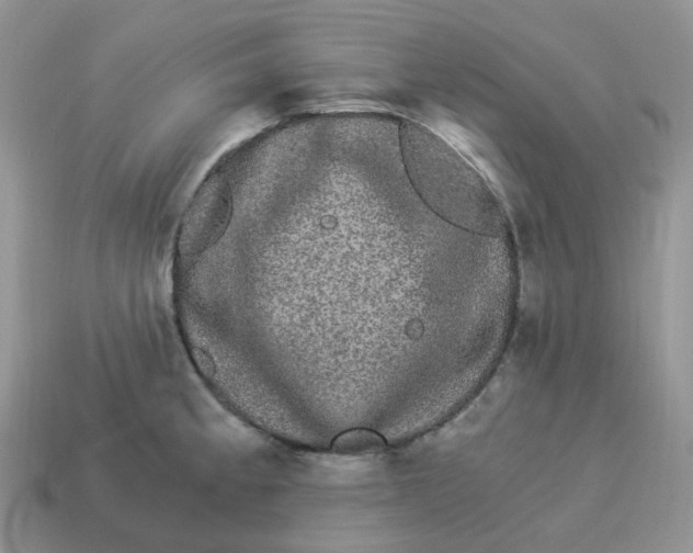 X0000114521189200911091144