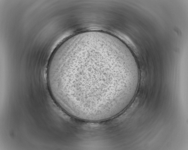 X0000114521190200911091144