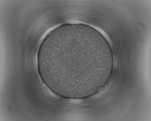 X0000114521191200911091144