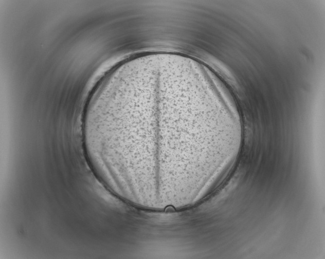 X0000114521192200911091144