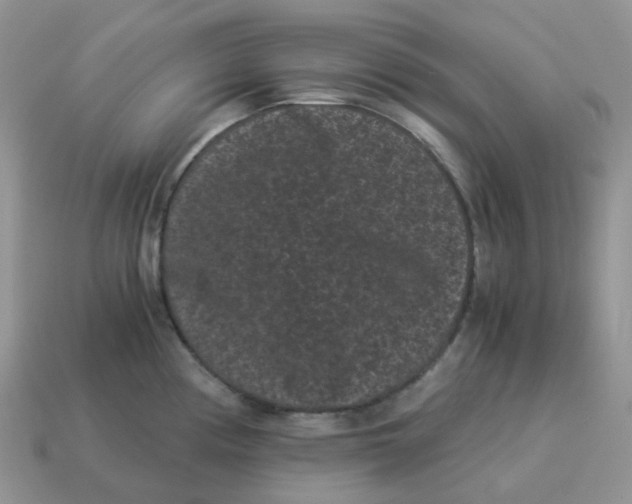 X0000114521194200911091144