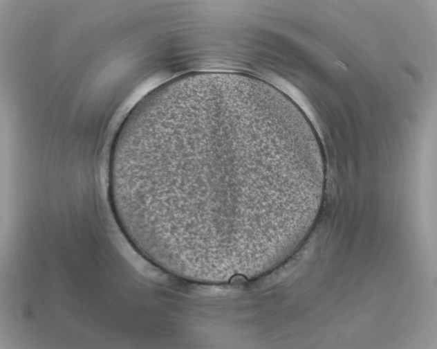 X0000114521195200911091144