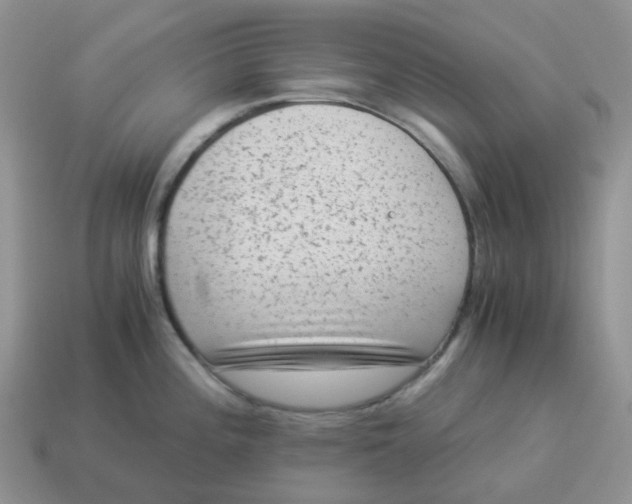 X0000114521196200911091144